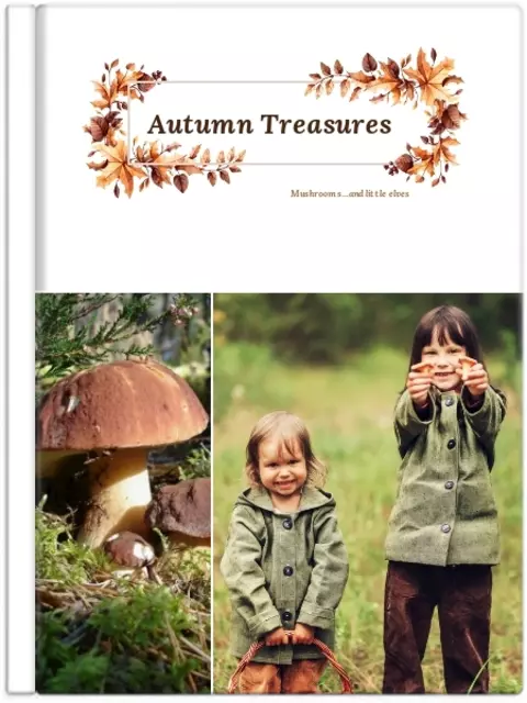 Mushroom Picking